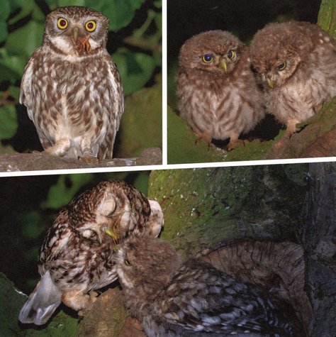 Hedwig und Karl-Heinz